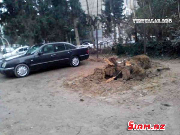 Bakıda uşaq meydançası ağaclarla birgə bir gecədə necə məhv oldu…