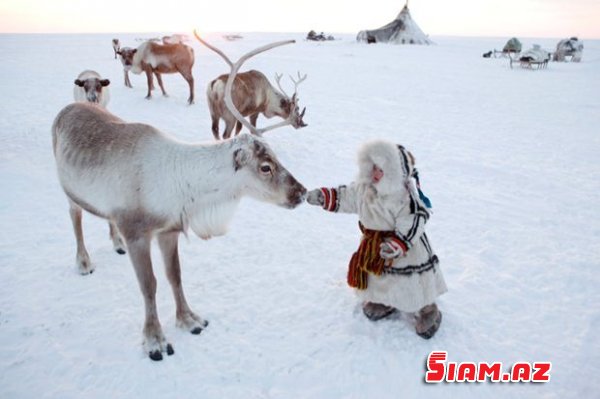 Qarlı-şaxtalı Sibir - FOTOLAR