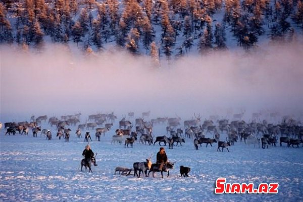 Qarlı-şaxtalı Sibir - FOTOLAR