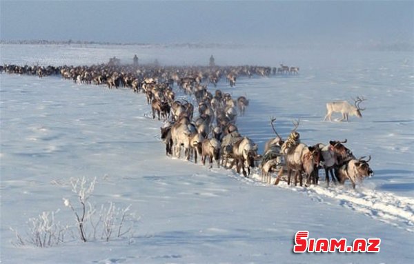 Qarlı-şaxtalı Sibir - FOTOLAR