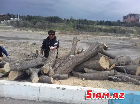 Zakir Fərəcovun özbaşınalığı davam edir