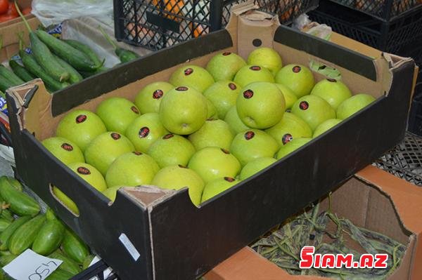 Quba alması İrəvan bazarlarında - Ermənilər təşvişdə/ FOTO