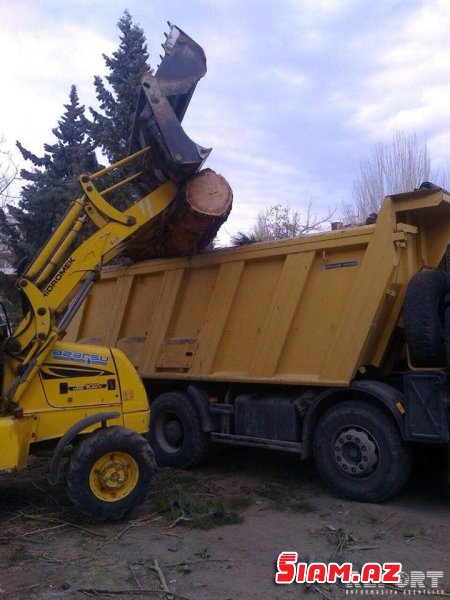 Bakıda ağaclar abadlıq adı ilə kütləvi şəkildə kəsildi – İcra hakimiyyəti cərimələndi [FOTO]