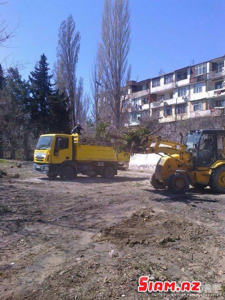 Bakıda ağaclar abadlıq adı ilə kütləvi şəkildə kəsildi – İcra hakimiyyəti cərimələndi [FOTO]