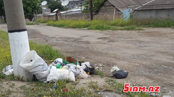 "ZEYNALOV Qardaşlarının "Adı təmiz Tovuzunun  zibilli küçələri – Fotolar