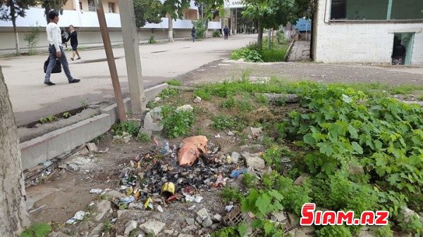 "ZEYNALOV Qardaşlarının "Adı təmiz Tovuzunun  zibilli küçələri – Fotolar