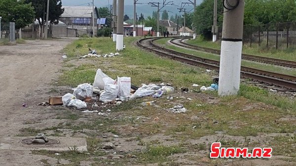 "ZEYNALOV Qardaşlarının "Adı təmiz Tovuzunun  zibilli küçələri – Fotolar