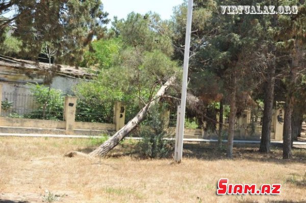 Milli Qəhramanın adını daşıyan parkda nə baş verir: şəhidin abidəsi uçub-dağılıb