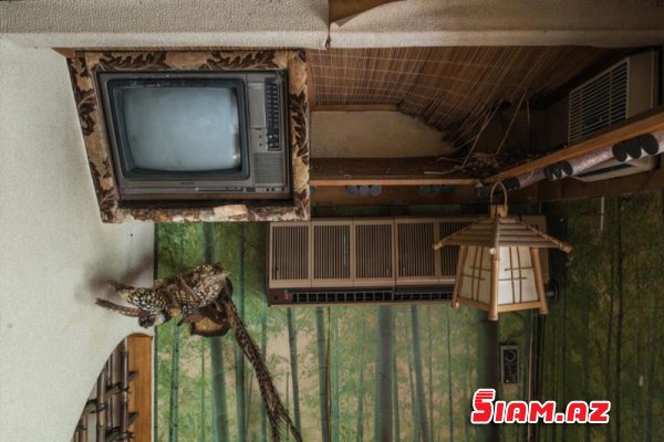 Tərk edilmiş "Sevgi oteli"nin inanılmaz görüntüləri Tərk edilmiş "Sevgi oteli"nin inanılmaz görüntüləri
