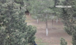 Bakıda 2.5 hektarlıq meşənin ələ keçirilməsi: ərazidə villa tikintisi başladı Bakıda 2.5 hektarlıq meşənin ələ keçirilməsi: ərazidə villa tikintisi başladı