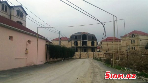 Binəqədidə məhv edilən zeytunluqda son durum - REPORTAJ, FOTOLAR Binəqədidə məhv edilən zeytunluqda son durum - REPORTAJ, FOTOLAR