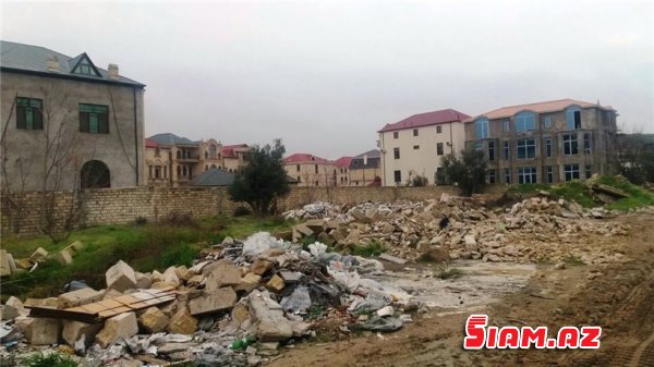 Binəqədidə məhv edilən zeytunluqda son durum - REPORTAJ, FOTOLAR Binəqədidə məhv edilən zeytunluqda son durum - REPORTAJ, FOTOLAR