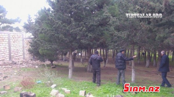Bakıda 2.5 hektarlıq meşənin ələ keçirilməsi: ərazidə villa tikintisi başladı Bakıda 2.5 hektarlıq meşənin ələ keçirilməsi: ərazidə villa tikintisi başladı